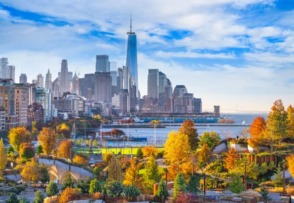 img nyc